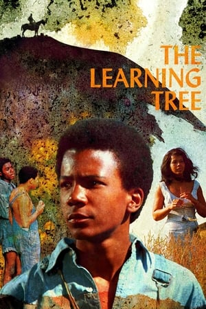 watch The Learning Tree