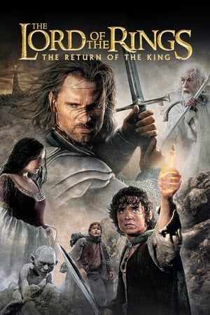The Lord of the Rings: The Return of the King watch The Lord of the Rings: The Return of the King