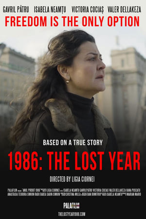 watch The Lost Year 1986