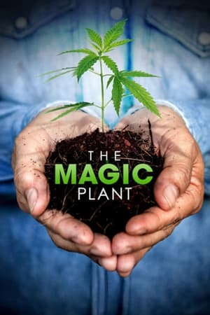 The Magic Plant watch The Magic Plant