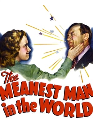 The Meanest Man in the World watch The Meanest Man in the World