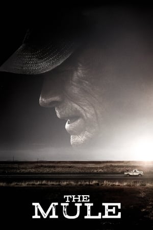 watch The Mule