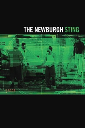 watch The Newburgh Sting