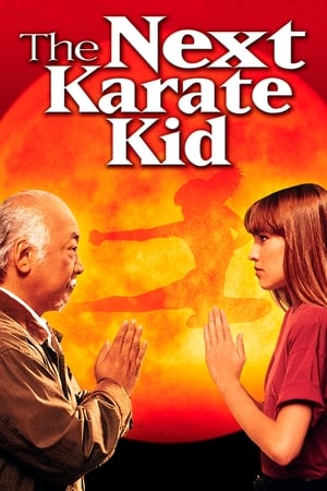 The Next Karate Kid watch The Next Karate Kid
