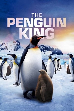 The Penguin King watch The Penguin King