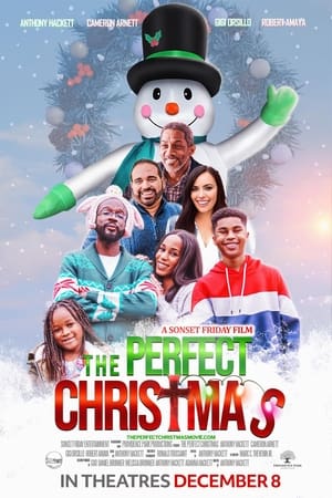 The Perfect Christmas watch The Perfect Christmas
