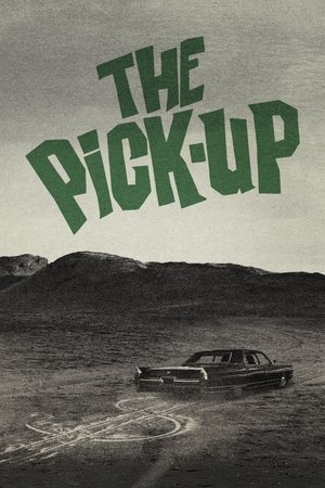 watch The Pick-Up