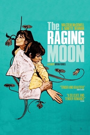 watch The Raging Moon