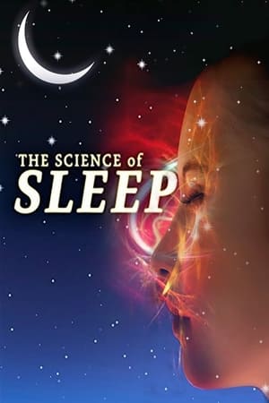 watch The Science of Sleep