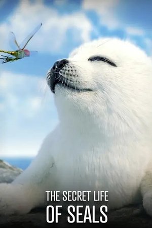 The Secret Life of Seals watch The Secret Life of Seals