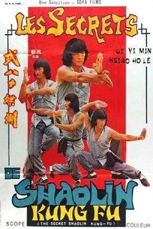 watch The Secret Shaolin Kung-Fu