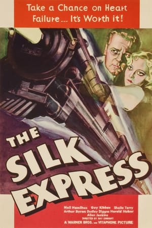 The Silk Express watch The Silk Express