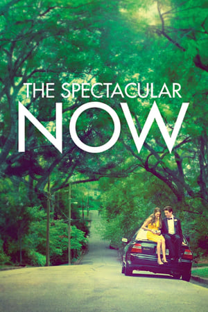 The Spectacular Now watch The Spectacular Now