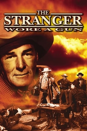 watch The Stranger Wore a Gun