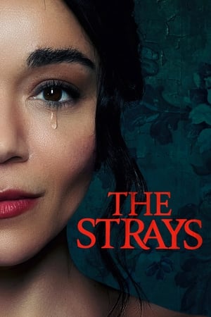 The Strays watch The Strays