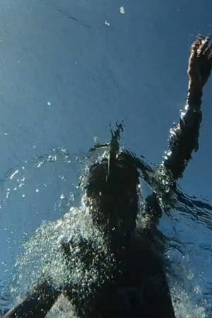 watch The Swim