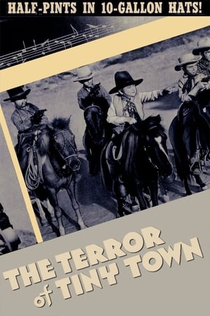 watch The Terror of Tiny Town
