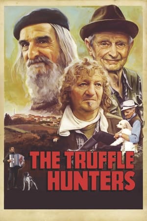 The Truffle Hunters watch The Truffle Hunters