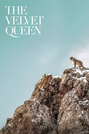 The Velvet Queen watch The Velvet Queen