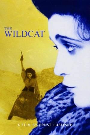 watch The Wildcat