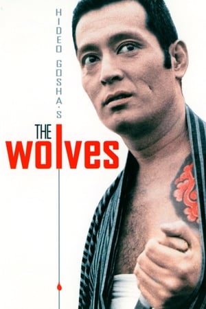 The Wolves watch The Wolves