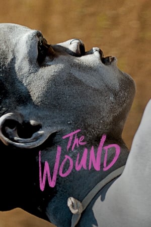 watch The Wound