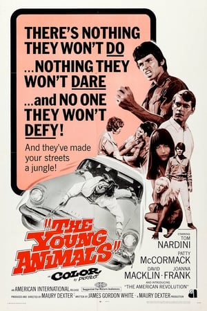 The Young Animals watch The Young Animals