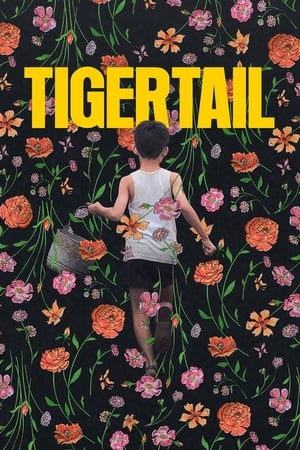 Tigertail watch Tigertail