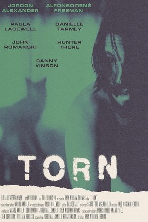 watch Torn