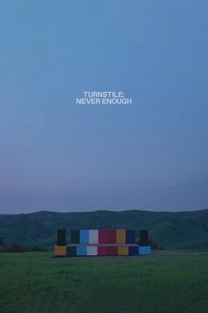 watch Turnstile: Never Enough