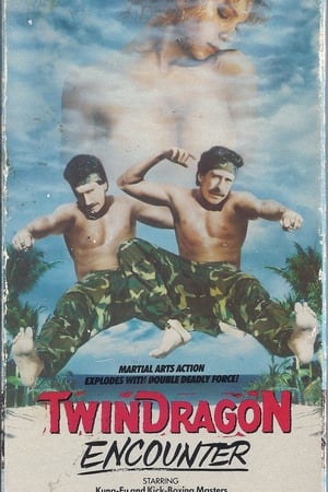 watch Twin Dragon Encounter