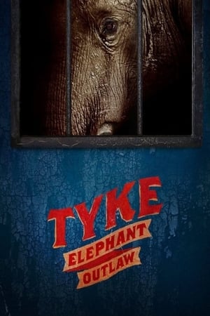 Tyke Elephant Outlaw watch Tyke Elephant Outlaw