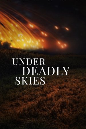 Under Deadly Skies: Ukraine's Eastern Front watch Under Deadly Skies: Ukraine's Eastern Front