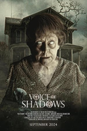 watch Voice of Shadows