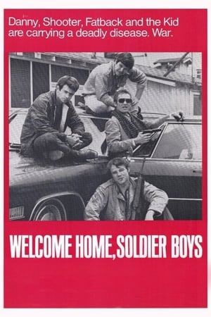 watch Welcome Home, Soldier Boys