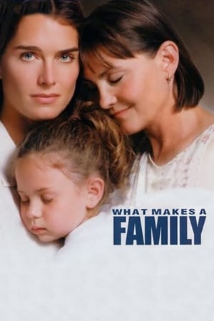 What Makes a Family watch What Makes a Family