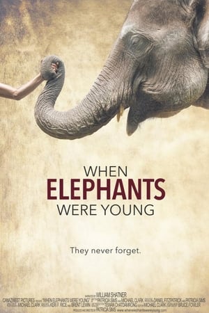 When Elephants Were Young watch When Elephants Were Young