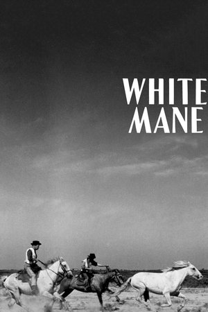 White Mane watch White Mane