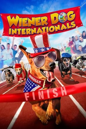 watch Wiener Dog Internationals