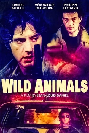 watch Wild Animals
