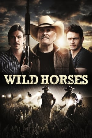 watch Wild Horses