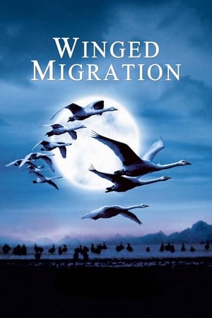 Winged Migration watch Winged Migration
