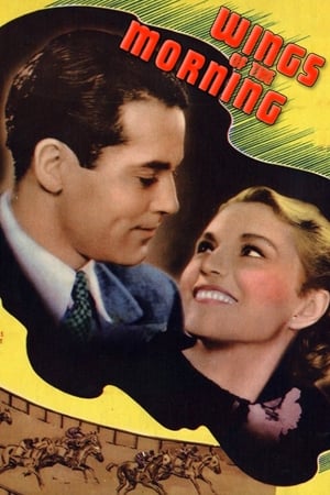 watch Wings of the Morning