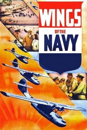 watch Wings of the Navy