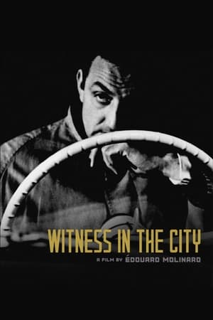 watch Witness in the City