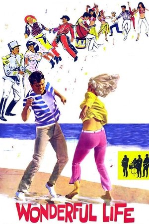 Wonderful Life watch Wonderful Life