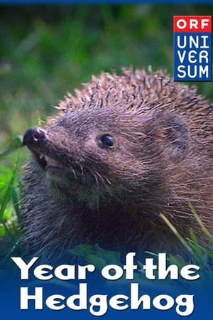 watch Year of the Hedgehog