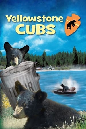 watch Yellowstone Cubs