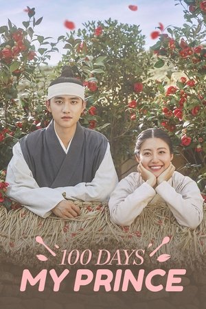 100 Days My Prince 100 Days My Prince-hd