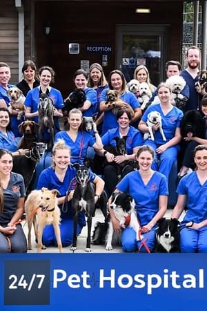 24/7 Pet Hospital-hd